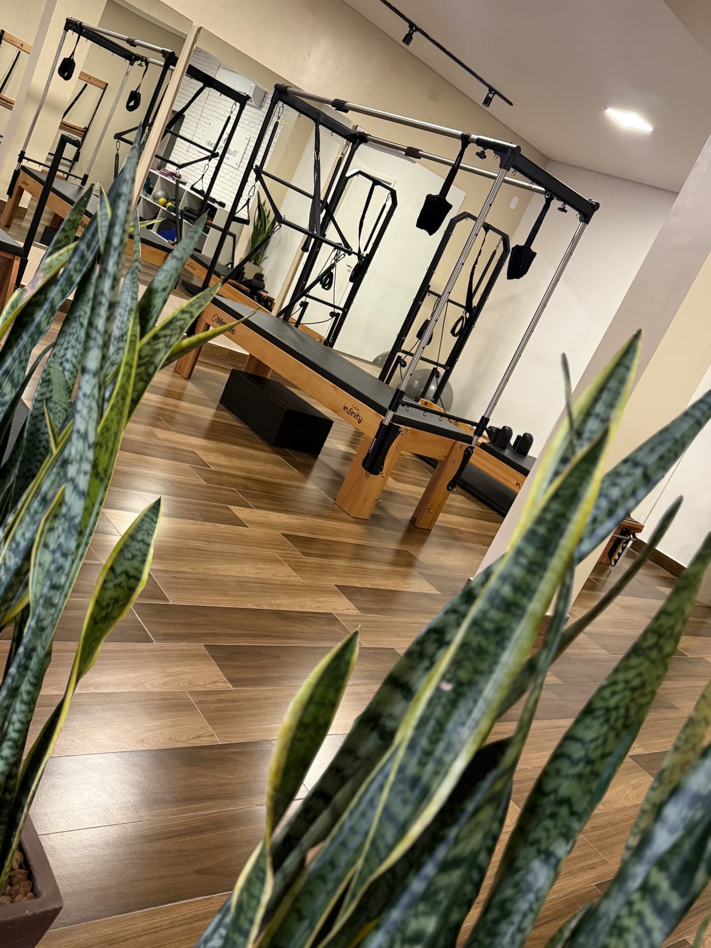 Estúdio de Pilates acolhedor com plantas e equipamentos de madeira